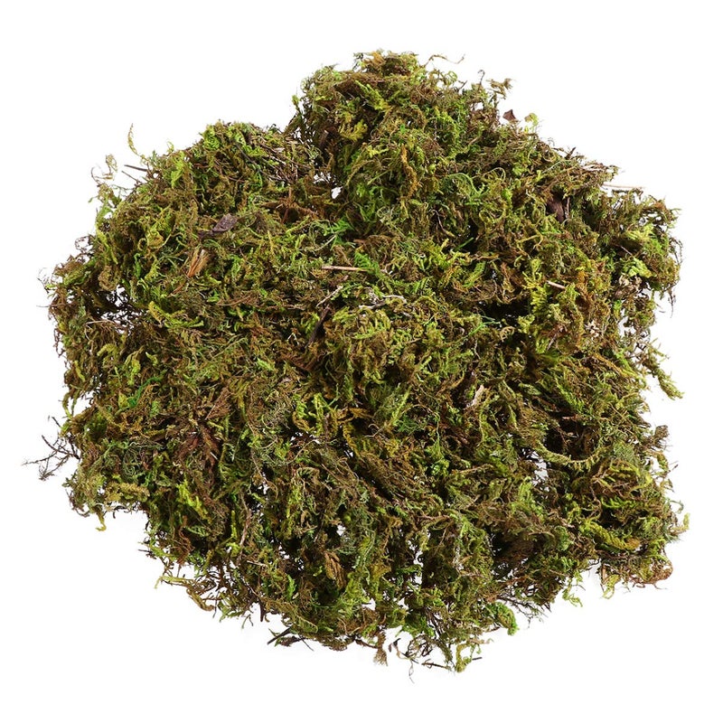 VOSAREA 1 Pack Artificial Moss Fake Lichen Simulation Green Faux Pot Moss for DIY Miniature House (About 60g) - Image 1