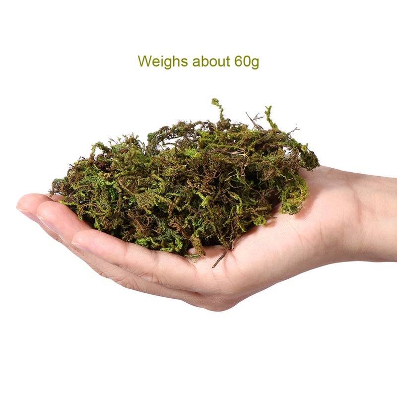 VOSAREA 1 Pack Artificial Moss Fake Lichen Simulation Green Faux Pot Moss for DIY Miniature House (About 60g) - Image 3
