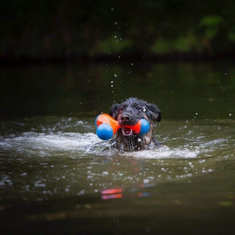 ChuckIt! TriBumper Large - Image 2