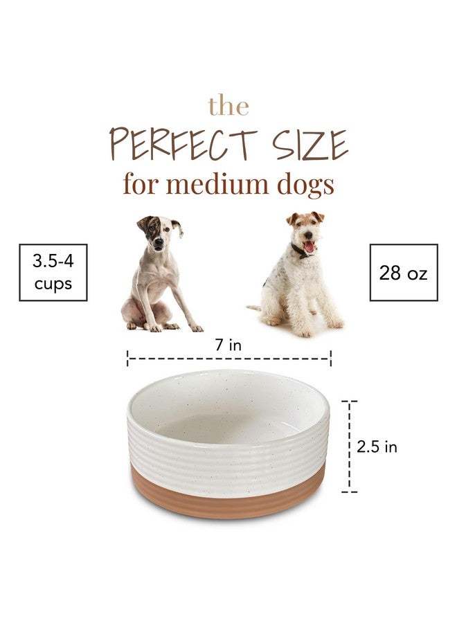 مورا وعاء مورا سيراميك للحيوانات الأليفة، مقاس متوسط - طبق طعام/ماء للجراء الكبيرة، والقطط، وكلاب الريتريفر، والكلاب متوسطة الحجم، إلخ. 28 أونصة أو 4 أكواب - أوعية أساسية لكلبك أو قطتك، اختر ما يناسبك - لون فانيليا - Image 2