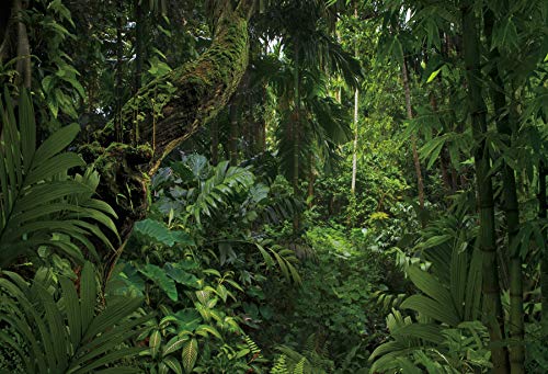 DORCEV 5x3ft Jungle Forest Photography Backdrop for Outdoorsy Camping Theme Party Background Spring Mysterious Rainforest Jungle Forest Tree Natural Scenery Kids Adult Wedding Photo Studio Props - Image 4
