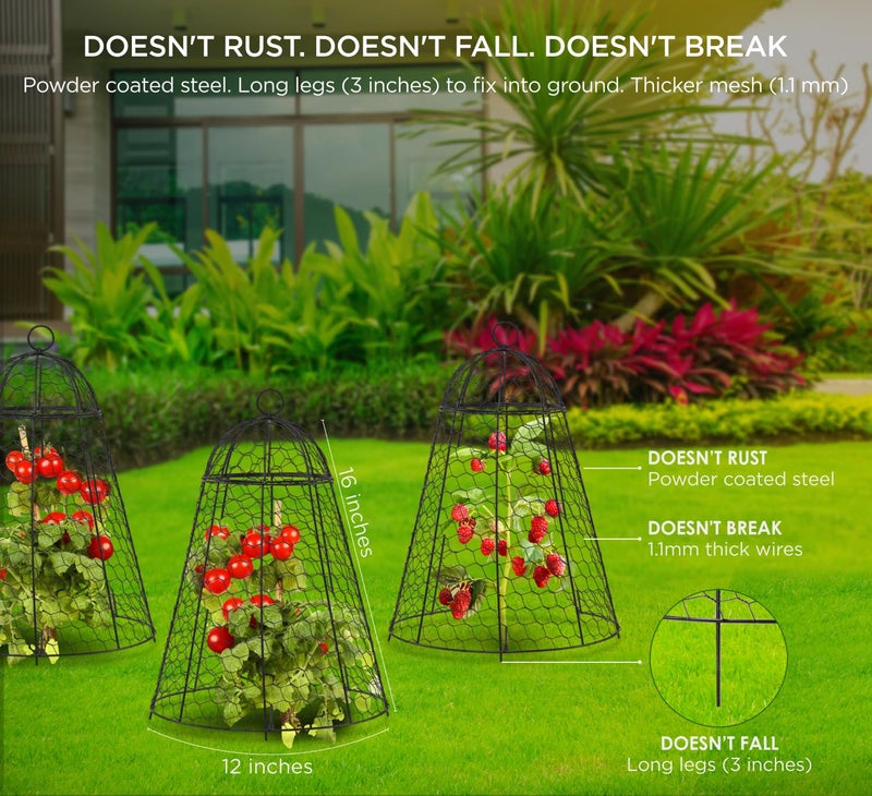 boldworks Garden Cloches for Plants Chicken Wire Cages to Protect from Animals Outdoor Extra Large Rustproof Thicker and Finer Mesh 12" x 20" Pack of 6 - Image 2