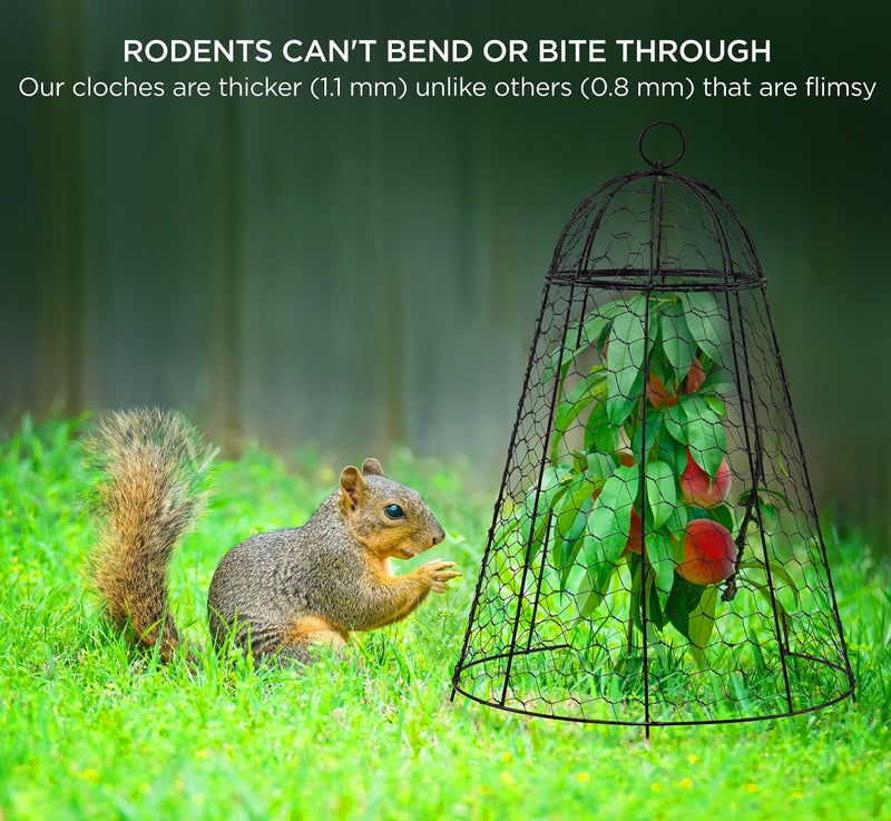 boldworks Garden Cloches for Plants Chicken Wire Cages to Protect from Animals Outdoor Extra Large Rustproof Thicker and Finer Mesh 12" x 20" Pack of 6 - Image 5