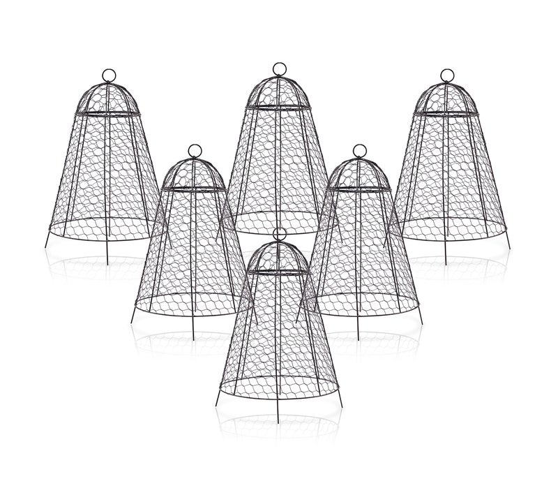 boldworks Garden Cloches for Plants Chicken Wire Cages to Protect from Animals Outdoor Extra Large Rustproof Thicker and Finer Mesh 12" x 20" Pack of 6 - Image 1