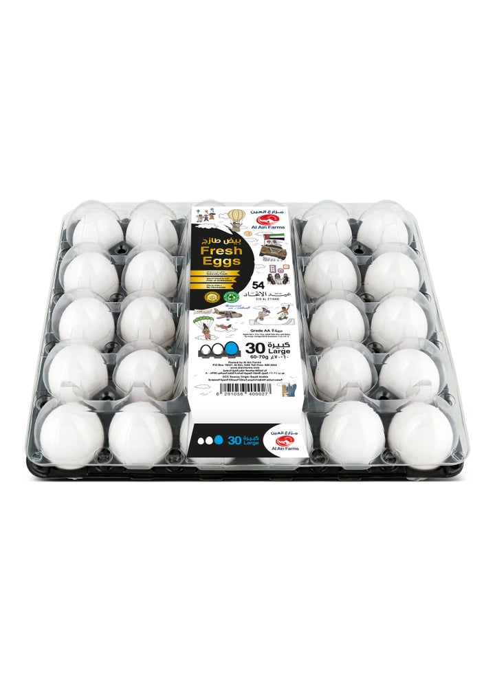 White Eggs Large 30 Pieces