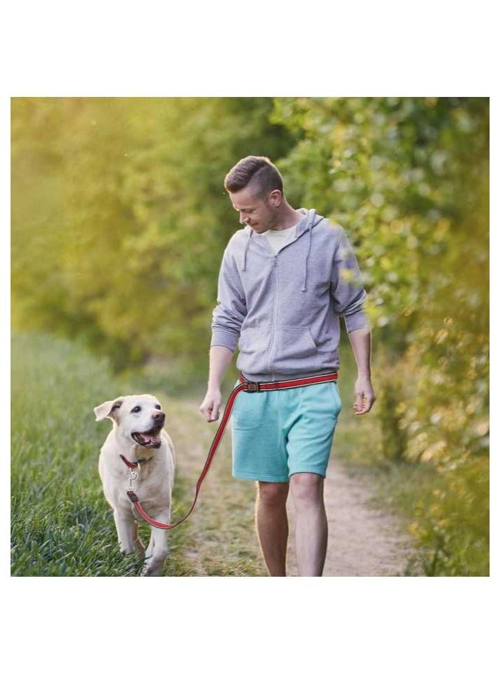 Doco Pet Leash, Athletica Easy-Snap Air Leash, 6feet, Medium, Blue Color - Image 2