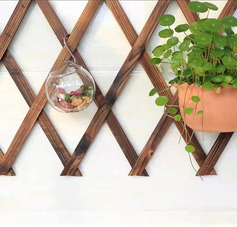 LINGWEI Portable Wooden Lattice Wall Fence Panel,Expandable Plant Hanging Frame Trellis Plant Support.(105cm(2pcs)) - Image 5