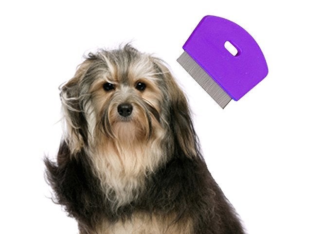 Sage Square 2 in 1 Adjustable Dog Brush/Pet Comb for Grooming Cum Massager & Safety for Pets from Mites/Lice/Ticks for Dog/Puppy/Kitten/Cat (Purple) - Image 1