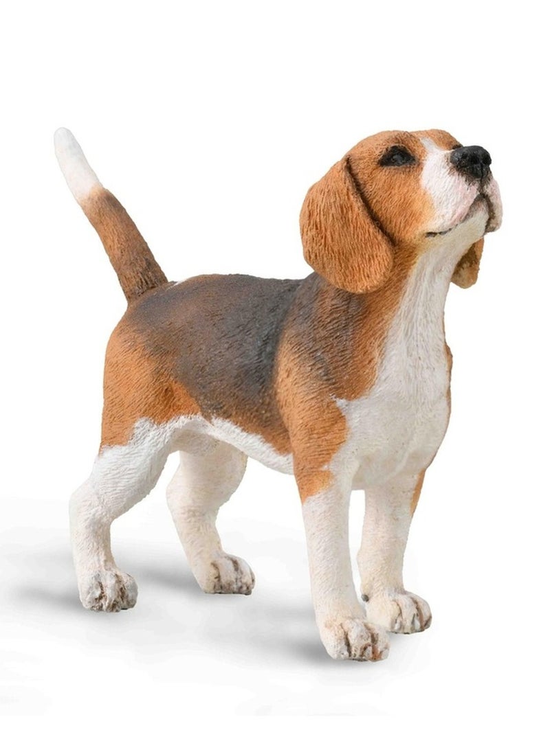 Collecta - Beagle Dog - 88935