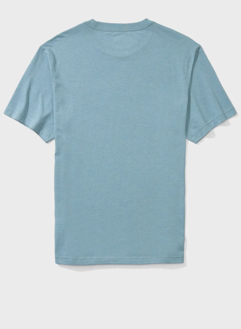 American Eagle Graphic Crew Neck T-Shirt