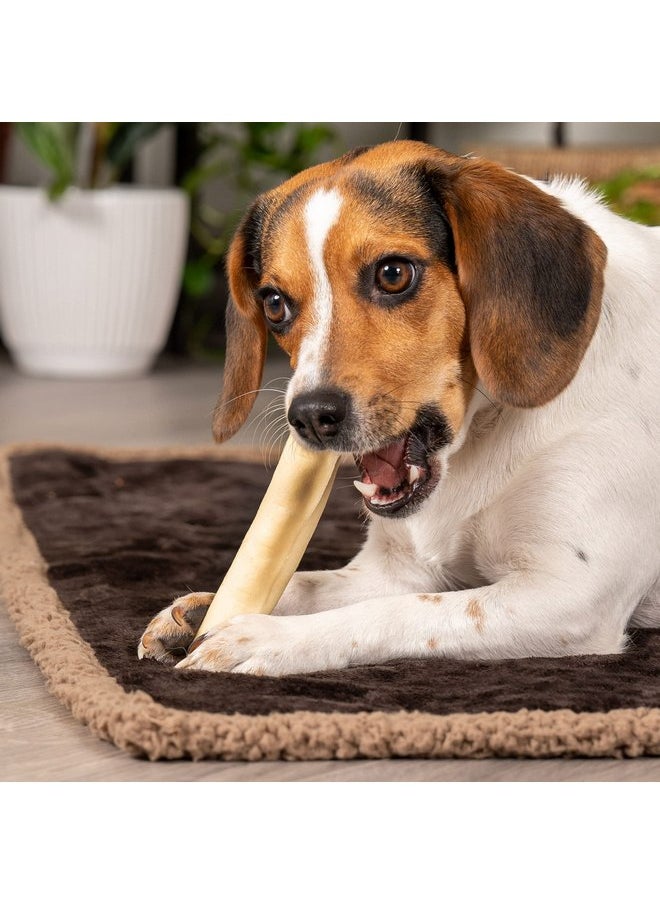 بيت فاكتوري حلوى مضغ للكلاب مصنوعة من جلد البقر بنسبة 100% من Pet Factory، مقاس 5 بوصات، بنكهة طبيعية، 18 قطعة/عبوة واحدة  - Image 2