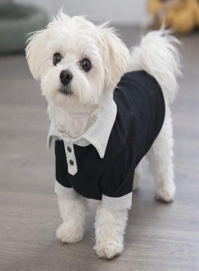 Dog T-Shirt for Dogs - Stylish Polo Style Pet Apparel with Black and White Color Block Design - Soft Ribbed Cotton Material - Comfortable Dog Clothing for Small to Medium Sized Dogs