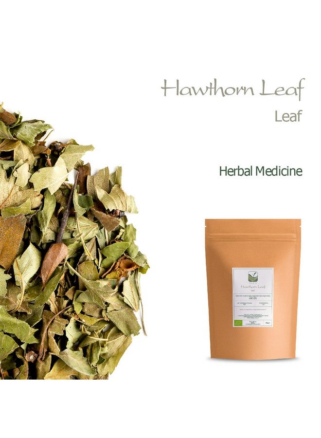 Valley of Tea Hawthorn Tea Organic Leaf Flower - Hawthorne Leaves and Flowers High Food Grade - Hawthorne Tea Organic Hawthorn Leaves Hawthorn Herb Hawthorne Leaves Hawthorne Leaf Tea Hawthorn Leaf And Flower  - Image 3