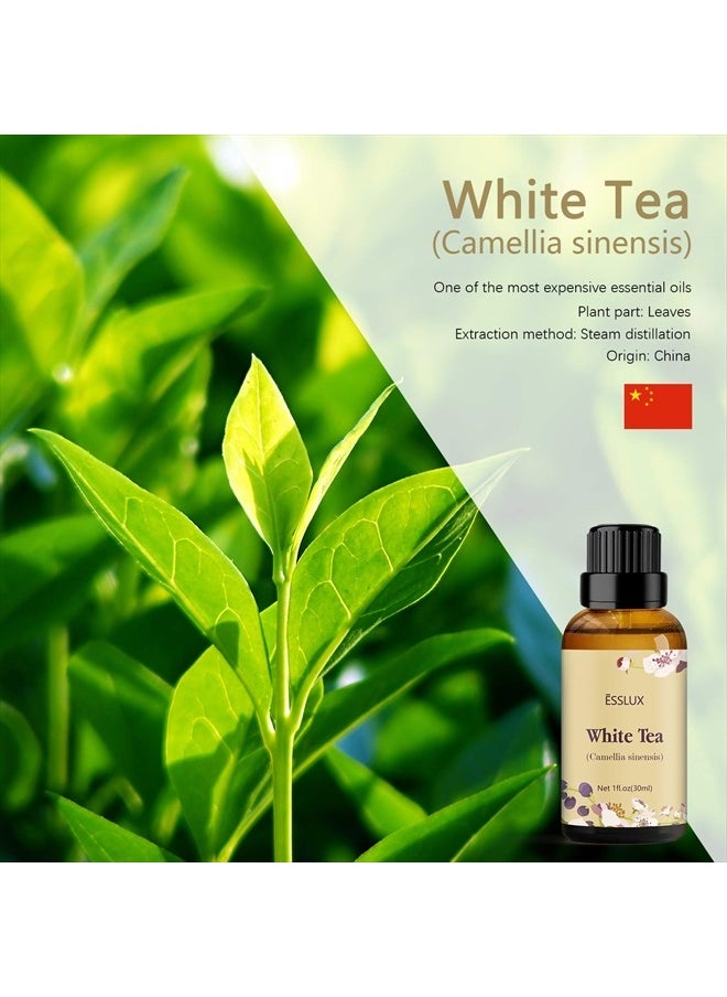 ESSLUX White Tea Essential Oil, ESSLUX Aromatherapy Essential Oils for Diffuser, Massage, Soap, Candle Making, Home Fragrance, 30 ml  - Image 2