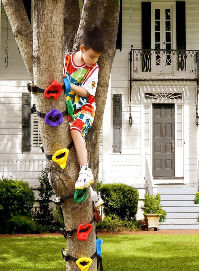 TOPNEW 12 Ninja Tree Climbing Holds for Tree Climber, Tree Climbing Kit with 6.6FT Rope Ladder for Outdoor Ninja Warrior Obstacle Course Training - Image 5