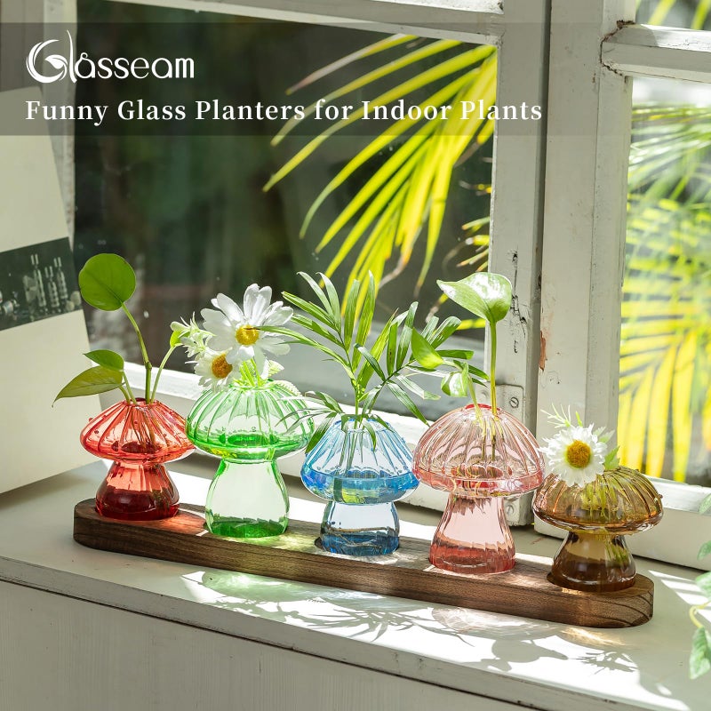 Glasseam Mushroom Plant Propagation Stations: Glass Terrarium Jars with Wood Stand - Unique Hydroponic Planters for Indoor Plants, Office Decor - 5 Pcs - Image 3