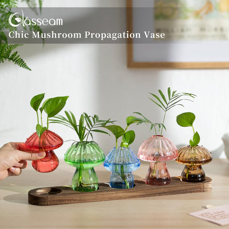 Glasseam Mushroom Plant Propagation Stations: Glass Terrarium Jars with Wood Stand - Unique Hydroponic Planters for Indoor Plants, Office Decor - 5 Pcs - Image 4