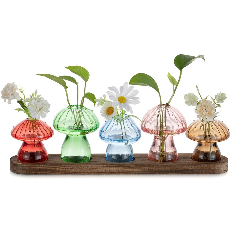 Glasseam Mushroom Plant Propagation Stations: Glass Terrarium Jars with Wood Stand - Unique Hydroponic Planters for Indoor Plants, Office Decor - 5 Pcs - Image 1