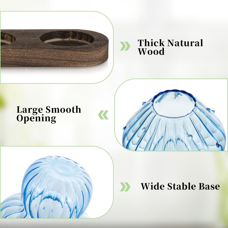 Glasseam Mushroom Plant Propagation Stations: Glass Terrarium Jars with Wood Stand - Unique Hydroponic Planters for Indoor Plants, Office Decor - 5 Pcs - Image 5