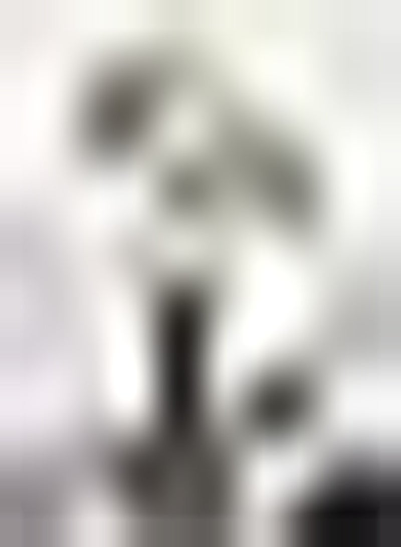 جي جوت 2 أماريليس بيضاء اللون لا تحتوي على الكثير من المشروبات والأطباق الخفيفة التي يتم وضعها في بيئة تضفي جوًا أنيقًا وتضفي لمسة من المتعة - Image 2