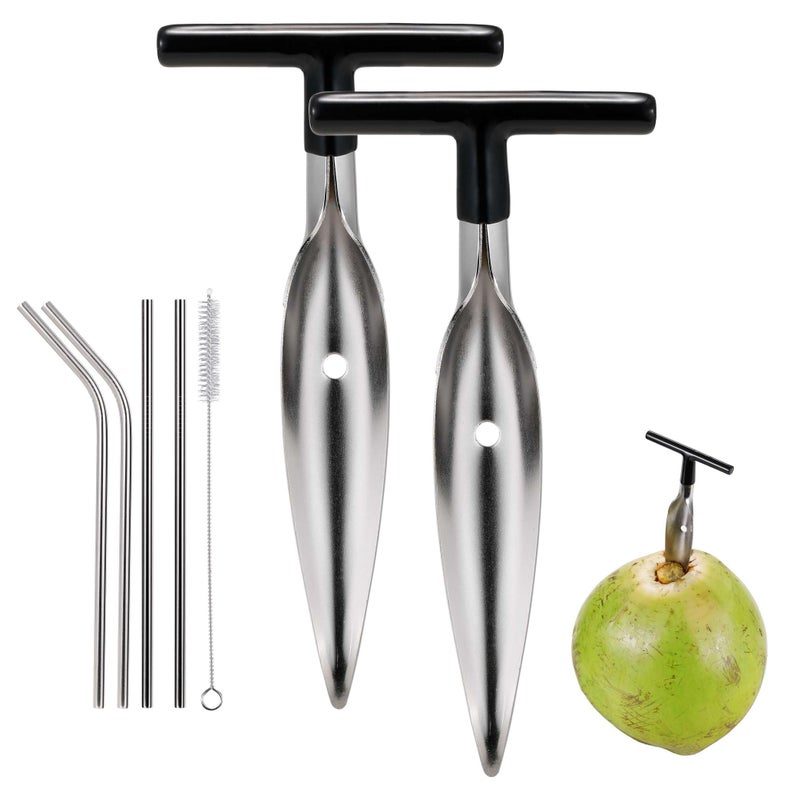 2 Pack Coconut Opener Tool Set with 4 Reusable Straws  Brush Food Grade Stainless Steel Coco Nut Bottle Opener for Young Thai Green Fresh Coconut Water Safe and Convenient Coco Drill Punch Tool