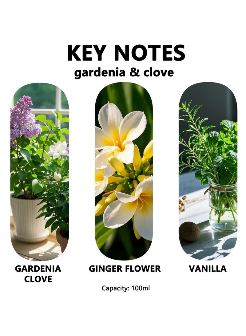 سان هان مجموعة معطرات الجو من القصب ١٠٠ مل: معطر جو بمزيج من الغاردينيا والفرانجيباني، معطرات جو تدوم طويلاً، للمنزل، غرفة النوم، الحمام، المكتب (تركيز ١٠٪) - Image 2