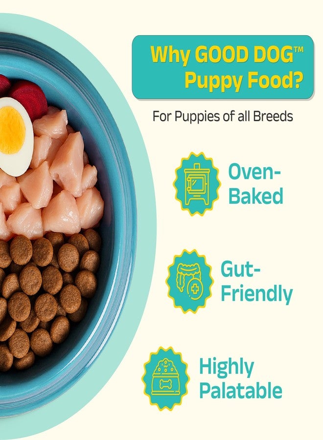 Good Dog Puppy Dry Dog Food | Oven Baked | Fresh Chicken & Eggs | 1 kg | Palatable Meal for Healthy Growth, Strong Bones, Immunity & Digestion | Nutritionally Crafted | Puppy Food for All Breeds - Image 3