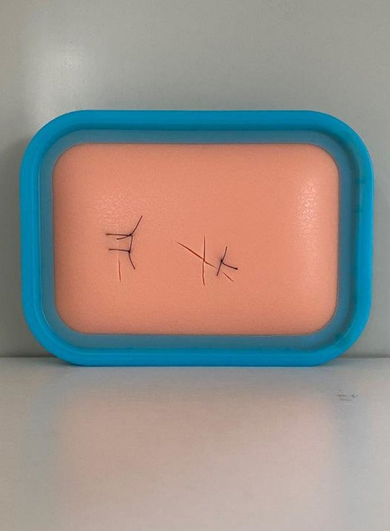 Surgical Practice for Medical Students to Suture Skin - Image 4