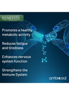 ambrosial Magnesium Citrate With Di Magnesiu Malate- 120 Vegan Capsules  - Image 3
