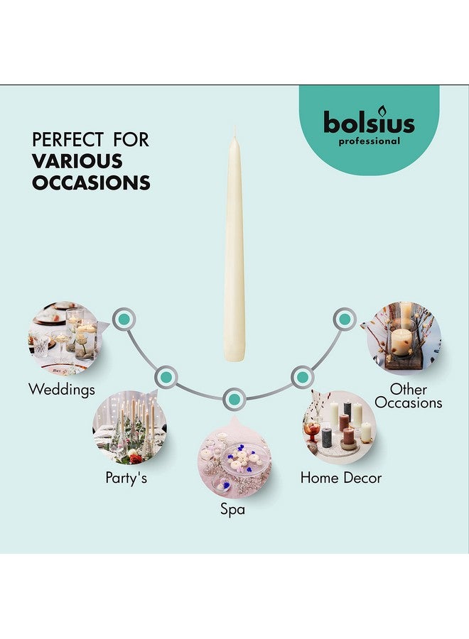 BOLSIUS 60 Count Household Ivory Taper Candles - 10 Inches - Premium European Quality - 8 Hours Burn Time - Unscented Dripless and Smokeless Home Decor, Restaurant, Wedding, and Party Candlesticks - Image 4