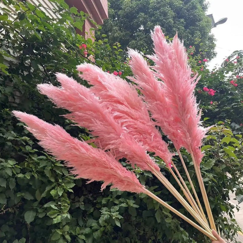 Bluejw Large Pink Pampas Grass Dried Flower - Natural Fluffy Plumes for Wedding Home Decor - Dried Plants Included - Image 1