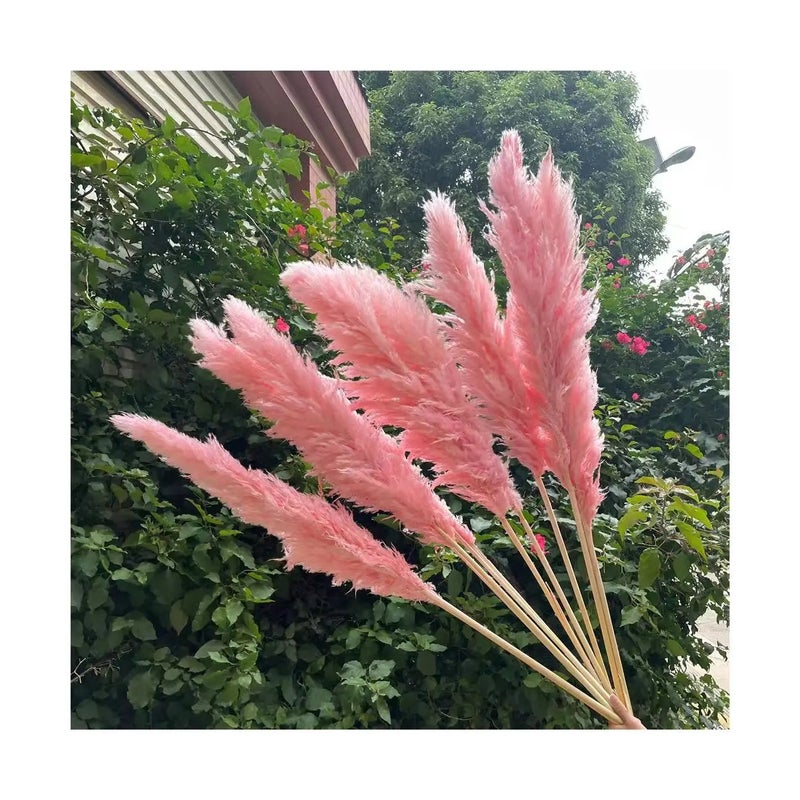 Bluejw Large Pink Pampas Grass Dried Flower - Natural Fluffy Plumes for Wedding Home Decor - Dried Plants Included - Image 2