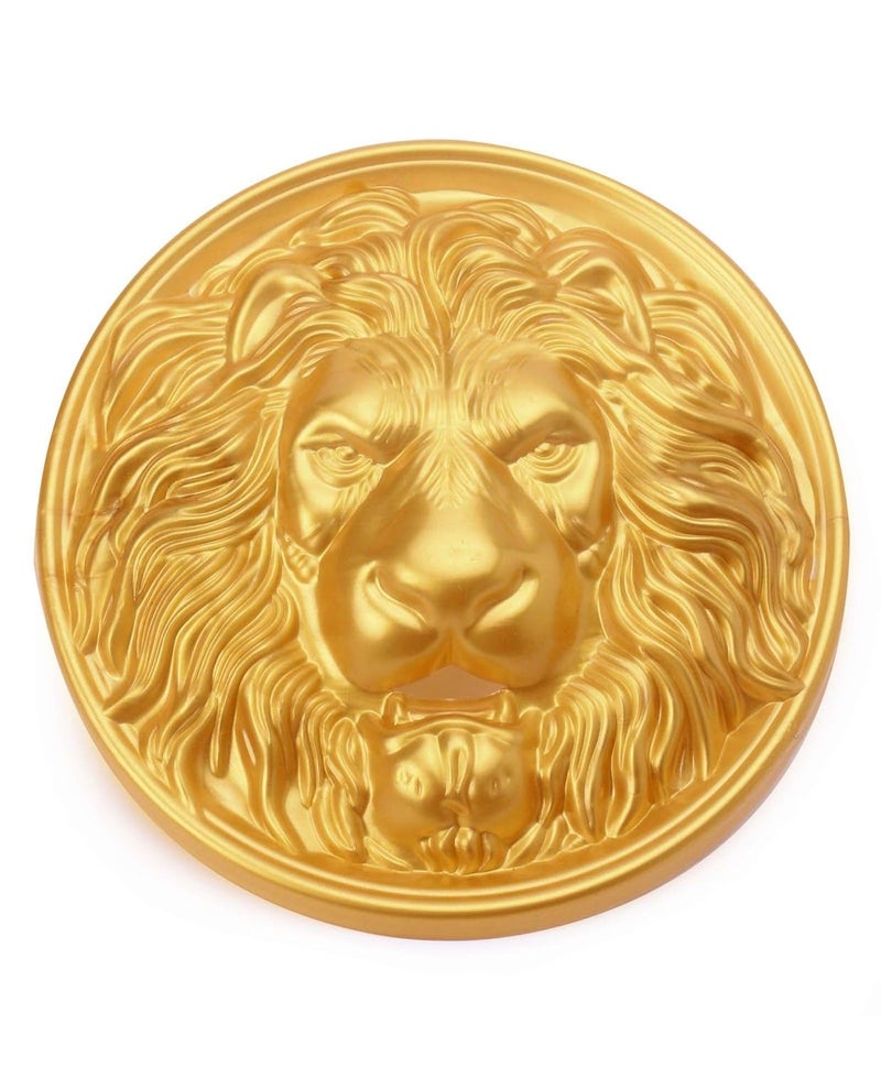 RATNA'S سيف المصارع مع درع للأطفال، لعبة تمثيلية للأطفال (طول السيف 20 بوصة) - Image 5