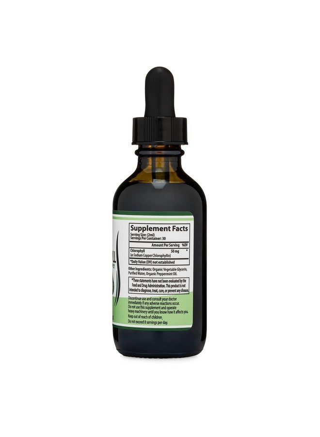 Double Wood Supplements قطرات سائل الكلوروفيل - بنكهة النعناع، آمنة للنباتيين (غنية، ذات قوام ونكهة كاملة، غير مخففة) لصحة البشرة، ووظيفة المناعة (سائل الكلوروفيل) من دابل وود - Image 3