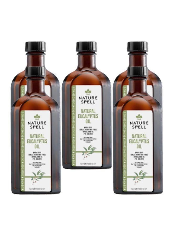 نايتشر سبيل 5 قطع زيت الأوكالبتوس الطبيعي للشعر والجسم مناسب لجميع أنواع الشعر والبشرة زيت مُنشط مُخفف مسبقًا 150 مل - Image 1