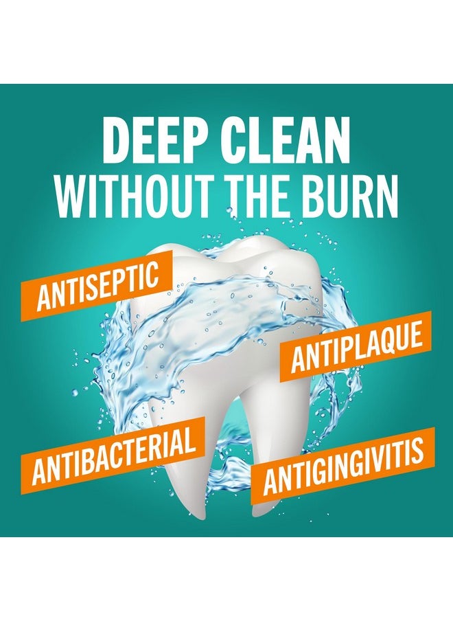 TheraBreath Deep Clean Mouthwash, Antigingivitis, Antiseptic, Fresh Mint Flavor, Dentist Formulated, Alcohol Free, 16 Fl Oz (Pack Of 2)  - Image 2