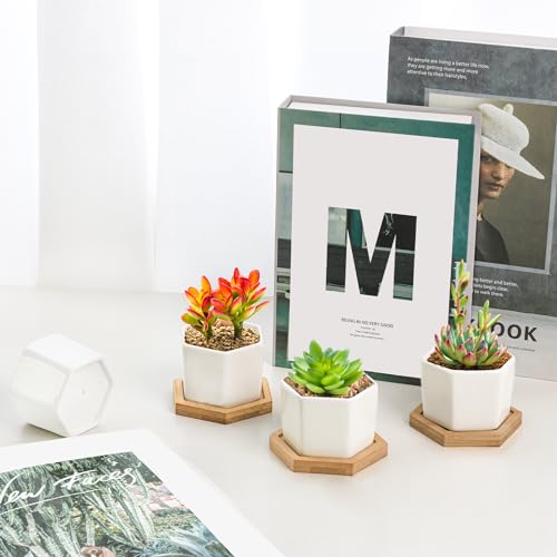 T4U Small White Succulent Planter Pots with Bamboo Tray Hexagon Set of 2, Geometric Ceramic Cactus Plant Holder, Succulent Plant Gifts for Gardener Women Coworker, Home Office Table Desk Decoration - Image 5