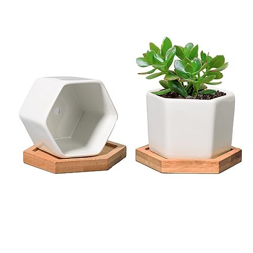 T4U Small White Succulent Planter Pots with Bamboo Tray Hexagon Set of 2, Geometric Ceramic Cactus Plant Holder, Succulent Plant Gifts for Gardener Women Coworker, Home Office Table Desk Decoration - Image 1