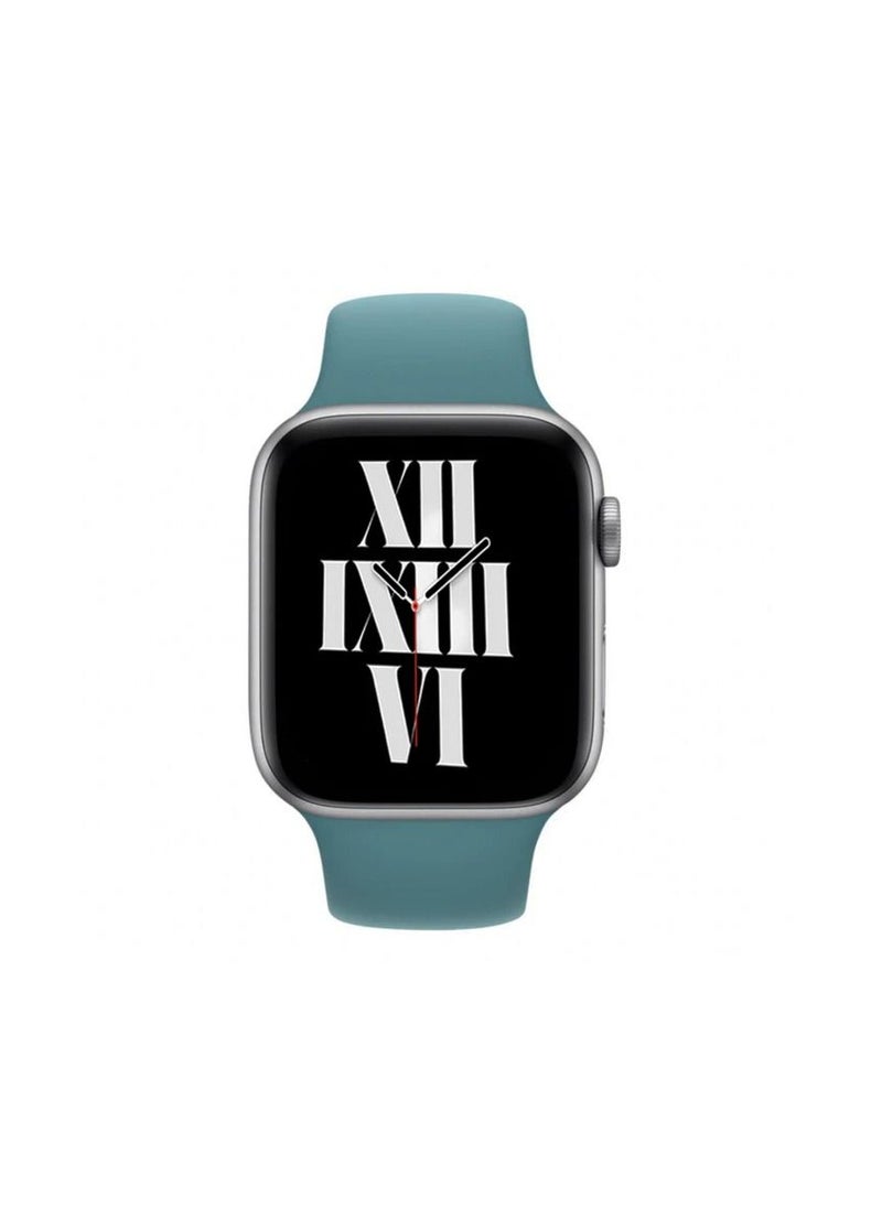TWEGGON - Apple Watch Strap/Band Compatible With 46mm/45mm/44mm/49mm Silicone Strap for Apple watch All Series Cactus Blue - Image 1