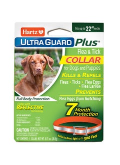 Hartz Hartz UltraGuard Plus Flea & Tick Collar for Dogs and Puppies, 7 Month Flea and Tick Prevention and Protection Per Collar, Reflective Orange, up to 22 Inch Neck  - Image 1