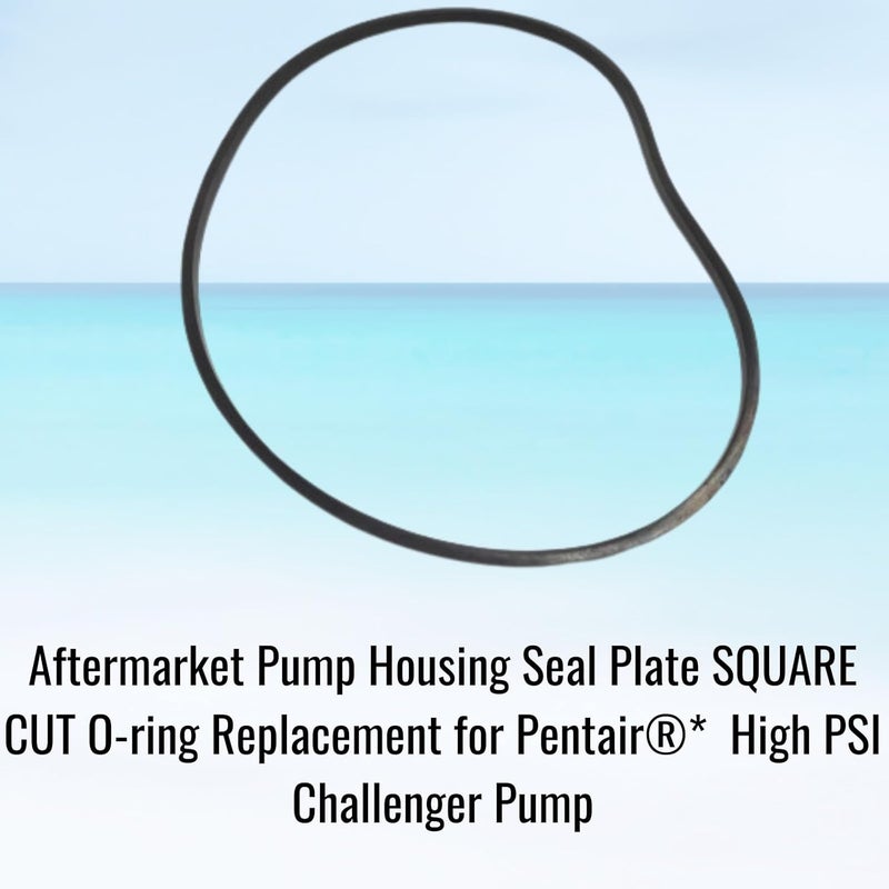 Southeastern Accessory Seal Plate Pump Housing Square Cut O-Ring for Pentair(R)* High Flow Challenger 355329 O-506 - Swimming Pool Pump Accessories - Pool Pump Parts - Image 3