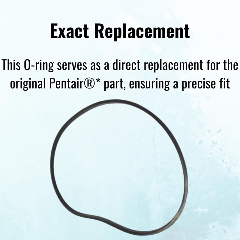 Southeastern Accessory Seal Plate Pump Housing Square Cut O-Ring for Pentair(R)* High Flow Challenger 355329 O-506 - Swimming Pool Pump Accessories - Pool Pump Parts - Image 5