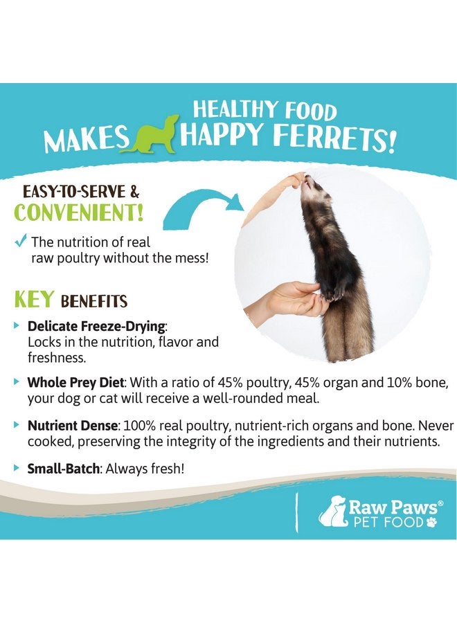 Raw Paws Freeze Dried Ferret Food - Chicken Recipe 16-oz - Made in USA - Grain Free Ferret Diet for Small, Adult, Senior & Baby Ferrets - Use as Ferret Treats for Rewarding & Training, Ferret Food Dry - Image 5