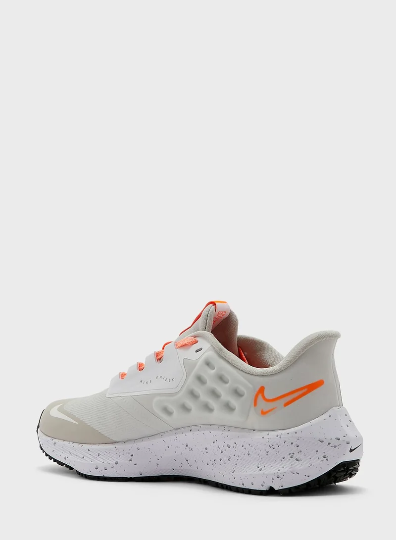 Nike Pegasus 39 Shield