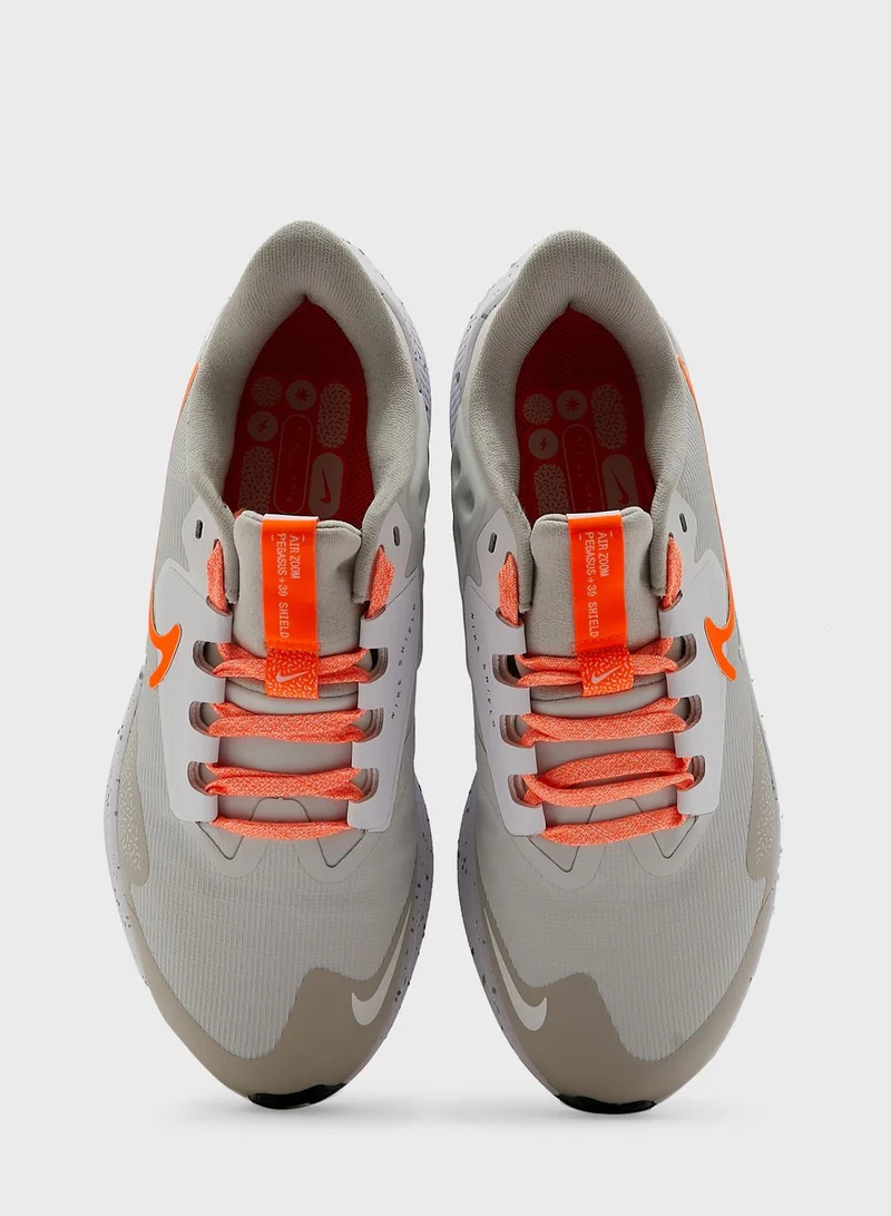 Nike Pegasus 39 Shield
