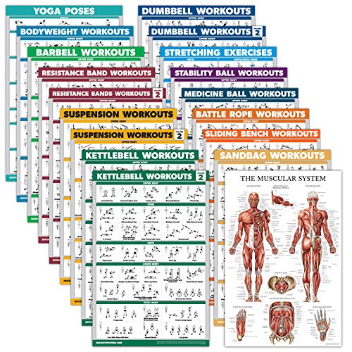 Palace Learning 18 Pack - Exercise Poster Set: Dumbbell, Suspension, Kettlebell, Resistance Bands, Stretching, Bodyweight, Barbell, Battle Rope, Yoga, Exercise Ball, Muscular and More (LAMINATED, 18" x 24") - Image 1