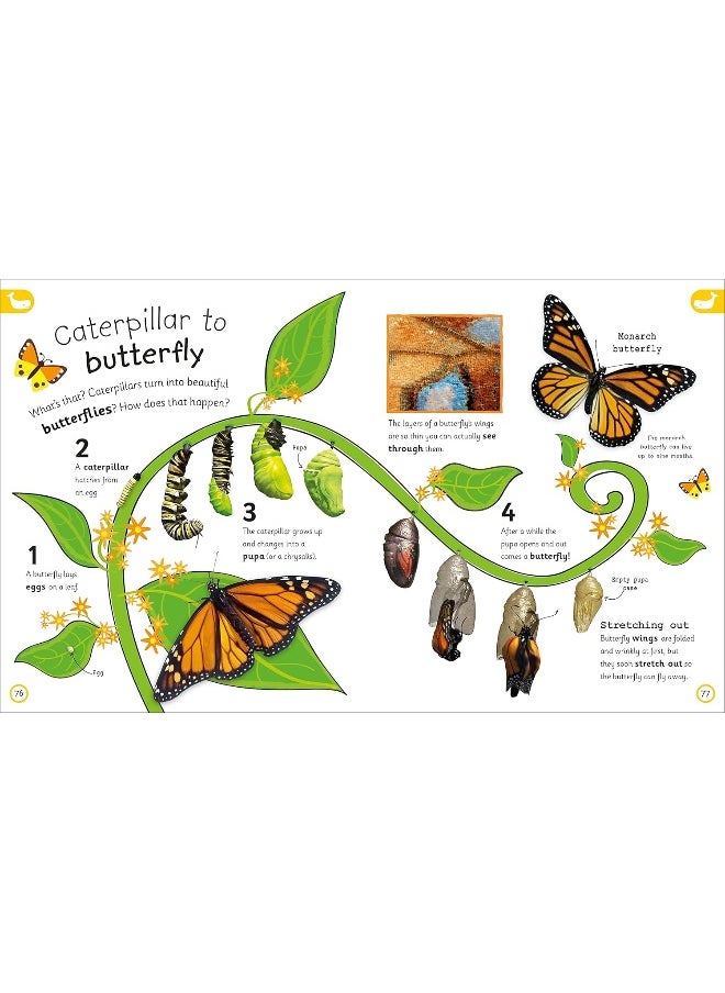My Encyclopedia of Very Important Things: For Little Learners Who Want to Know Everything  - Image 5