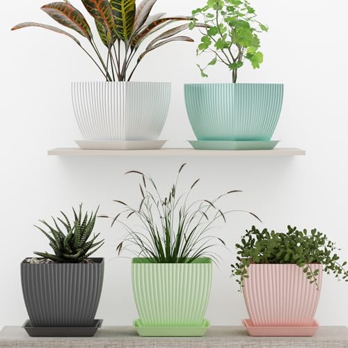 Eightiz (Pack of 5 6 inch Plant Flower Pots with Drainage Holes and Tray Saucers Outdoor Indoor - Ideal for Indoor Plants, Succulents, and Small Pots for Plants (Square LINE, Multi Colour) - Image 4