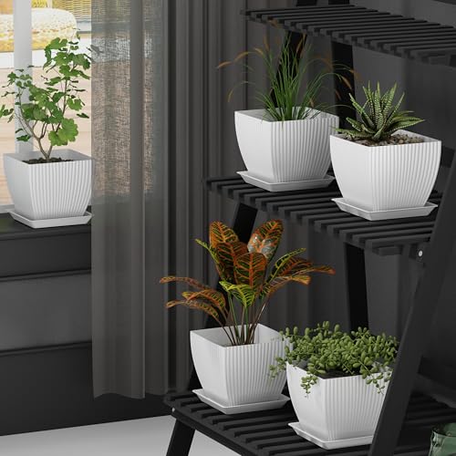 Eightiz (Pack of 5 6 inch Plant Flower Pots with Drainage Holes and Tray Saucers Outdoor Indoor - Ideal for Indoor Plants, Succulents, and Small Pots for Plants (Square LINE, Multi Colour) - Image 2
