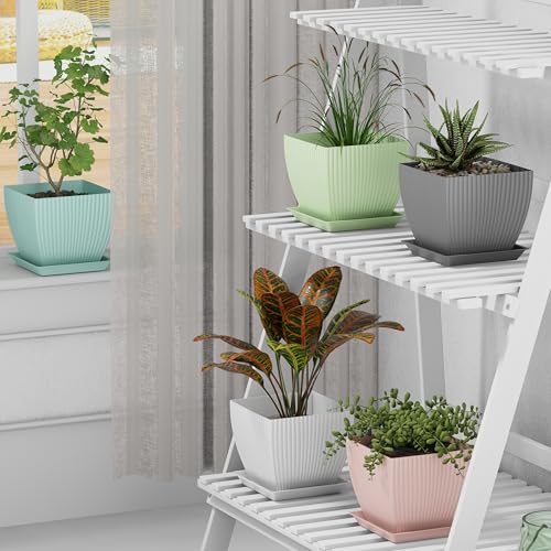 Eightiz (Pack of 5 6 inch Plant Flower Pots with Drainage Holes and Tray Saucers Outdoor Indoor - Ideal for Indoor Plants, Succulents, and Small Pots for Plants (Square LINE, Multi Colour) - Image 5